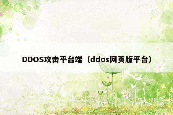 DDOS攻击平台端（ddos网页版平台）