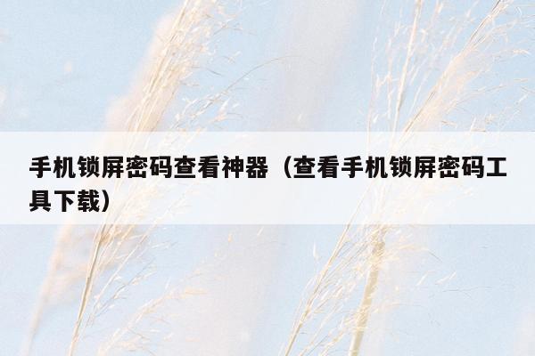 手机锁屏密码查看神器（查看手机锁屏密码工具下载）