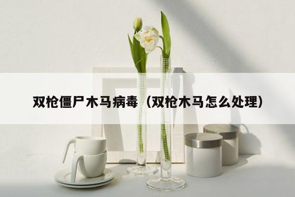 双枪僵尸木马病毒（双枪木马怎么处理）