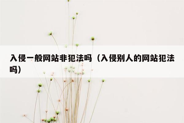 入侵一般网站非犯法吗（入侵别人的网站犯法吗）