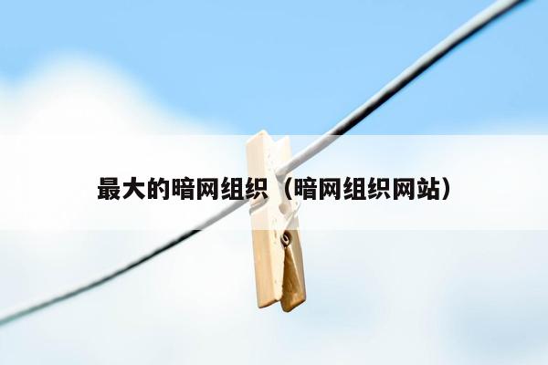 最大的暗网组织（暗网组织网站）