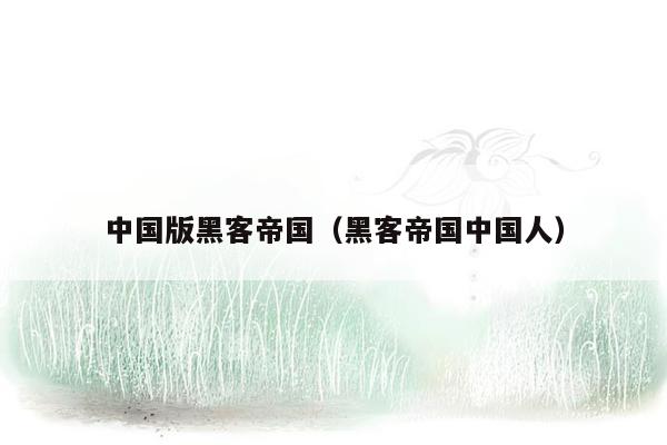 中国版黑客帝国（黑客帝国中国人）