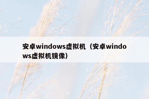 安卓windows虚拟机（安卓windows虚拟机镜像）