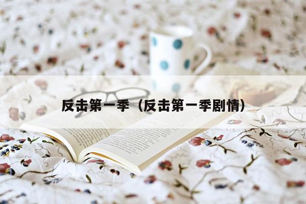 反击第一季（反击第一季剧情）