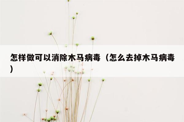 怎样做可以消除木马病毒（怎么去掉木马病毒）