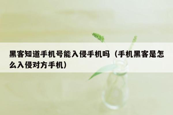 黑客知道手机号能入侵手机吗（手机黑客是怎么入侵对方手机）