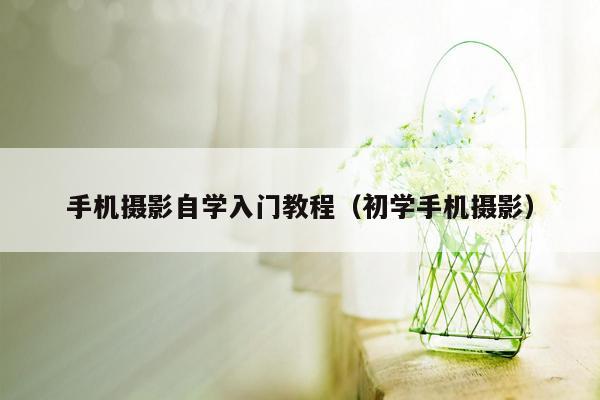 手机摄影自学入门教程（初学手机摄影）