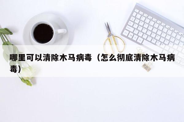 哪里可以清除木马病毒（怎么彻底清除木马病毒）