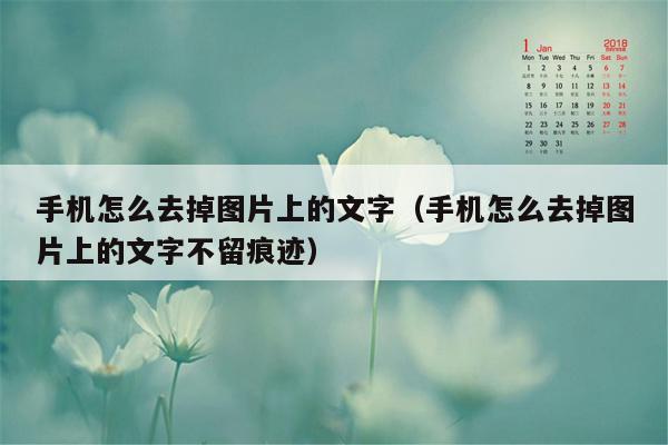 手机怎么去掉图片上的文字（手机怎么去掉图片上的文字不留痕迹）