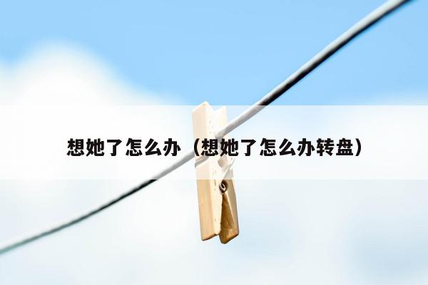 想她了怎么办（想她了怎么办转盘）