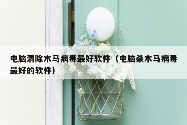 电脑清除木马病毒最好软件（电脑杀木马病毒最好的软件）