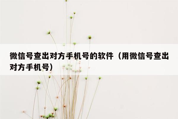 微信号查出对方手机号的软件（用微信号查出对方手机号）