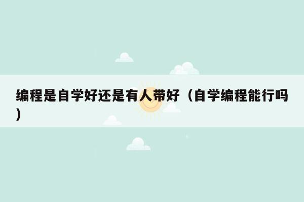 编程是自学好还是有人带好（自学编程能行吗）