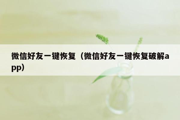 微信好友一键恢复（微信好友一键恢复破解app）