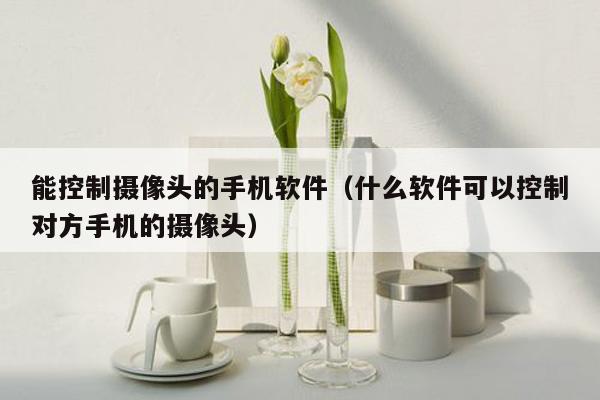 能控制摄像头的手机软件（什么软件可以控制对方手机的摄像头）