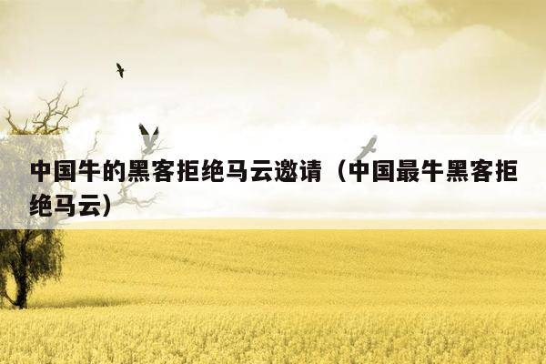 中国牛的黑客拒绝马云邀请（中国最牛黑客拒绝马云）