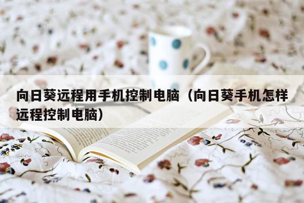 向日葵远程用手机控制电脑（向日葵手机怎样远程控制电脑）