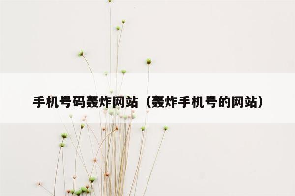 手机号码轰炸网站（轰炸手机号的网站）