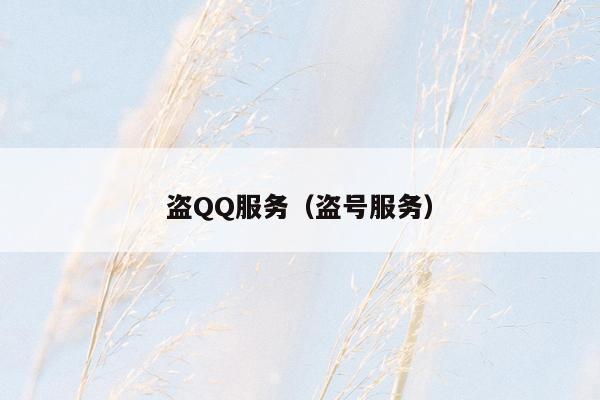 盗QQ服务（盗号服务）