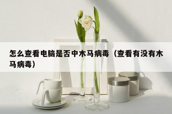 怎么查看电脑是否中木马病毒（查看有没有木马病毒）