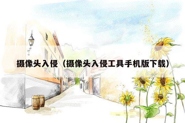 摄像头入侵（摄像头入侵工具手机版下载）