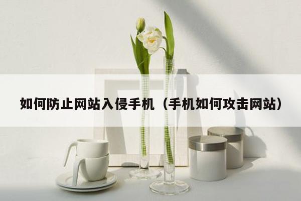 如何防止网站入侵手机（手机如何攻击网站）