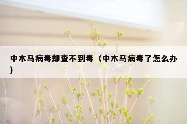 中木马病毒却查不到毒（中木马病毒了怎么办）