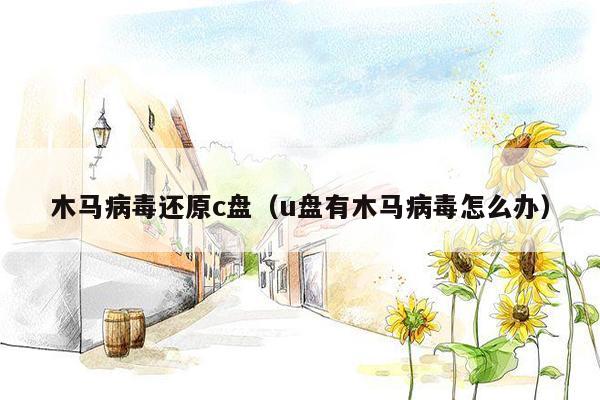 木马病毒还原c盘（u盘有木马病毒怎么办）