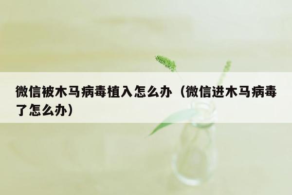 微信被木马病毒植入怎么办（微信进木马病毒了怎么办）