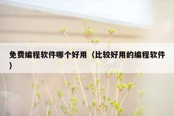免费编程软件哪个好用（比较好用的编程软件）