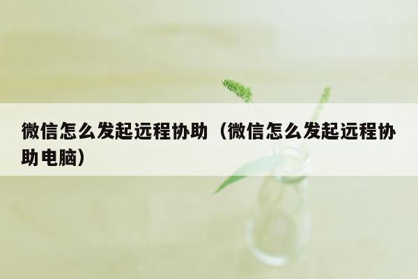 微信怎么发起远程协助（微信怎么发起远程协助电脑）