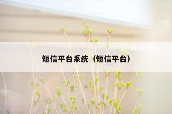 短信平台系统（短信平台）