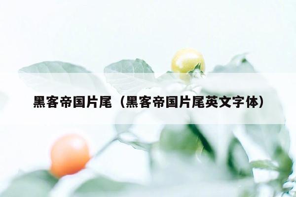 黑客帝国片尾（黑客帝国片尾英文字体）