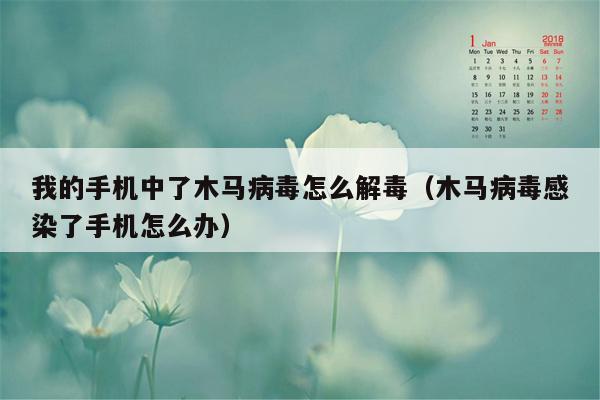 我的手机中了木马病毒怎么解毒（木马病毒感染了手机怎么办）