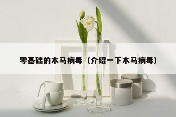 零基础的木马病毒（介绍一下木马病毒）