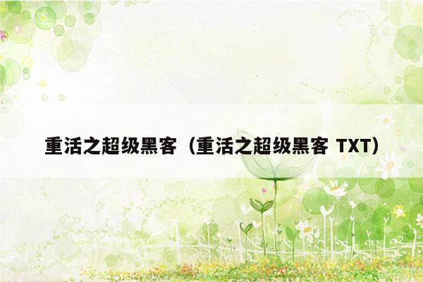 重活之超级黑客（重活之超级黑客 TXT）