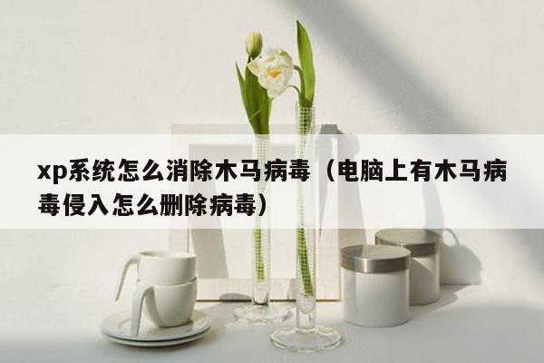 xp系统怎么消除木马病毒（电脑上有木马病毒侵入怎么删除病毒）