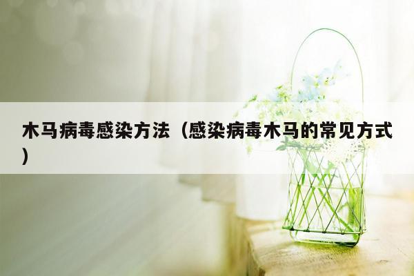 木马病毒感染方法（感染病毒木马的常见方式）