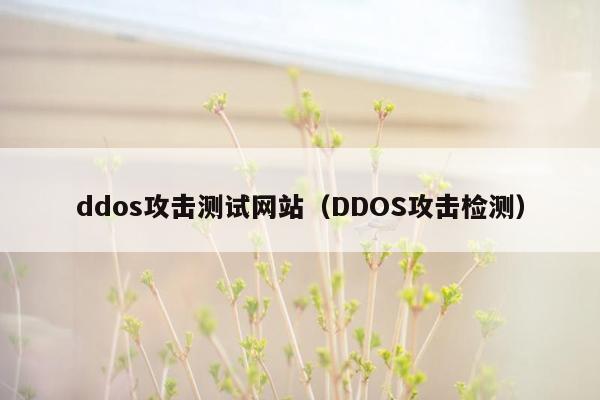 ddos攻击测试网站（DDOS攻击检测）