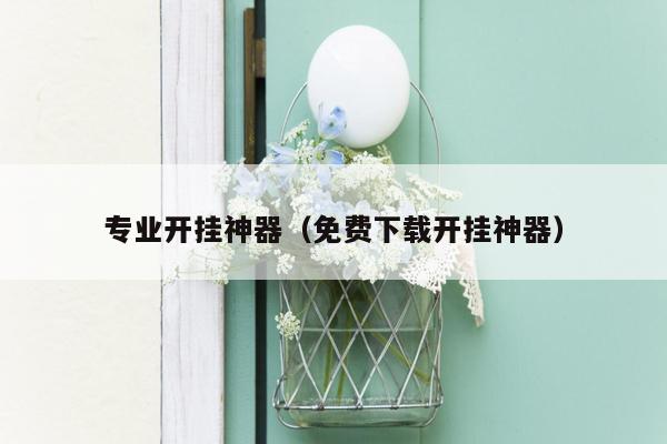 专业开挂神器（免费下载开挂神器）