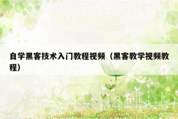 自学黑客技术入门教程视频（黑客教学视频教程）