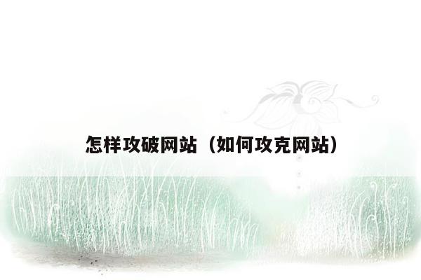 怎样攻破网站（如何攻克网站）