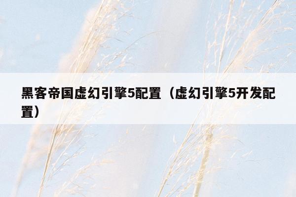 黑客帝国虚幻引擎5配置（虚幻引擎5开发配置）