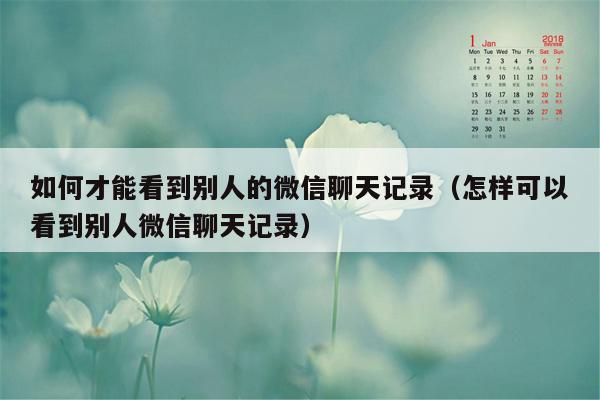 如何才能看到别人的微信聊天记录（怎样可以看到别人微信聊天记录）