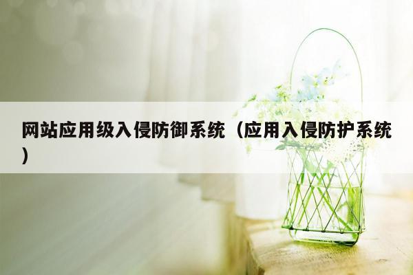 网站应用级入侵防御系统（应用入侵防护系统）