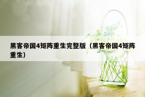 黑客帝国4矩阵重生完整版（黑客帝国4矩阵重生）