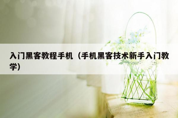 入门黑客教程手机（手机黑客技术新手入门教学）