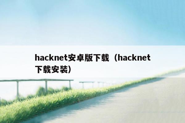 hacknet安卓版下载（hacknet下载安装）