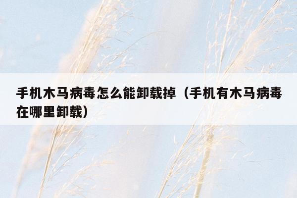 手机木马病毒怎么能卸载掉（手机有木马病毒在哪里卸载）