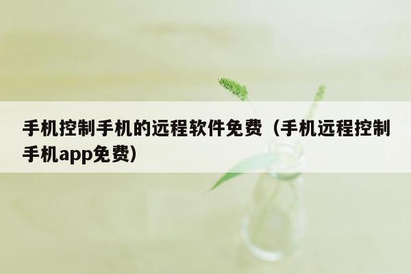 手机控制手机的远程软件免费（手机远程控制手机app免费）